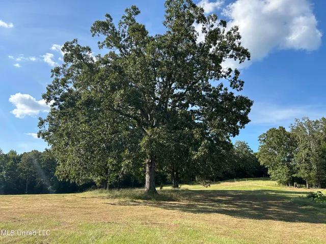 $552,500 | 233 County Road, Water Valley, MS 38965