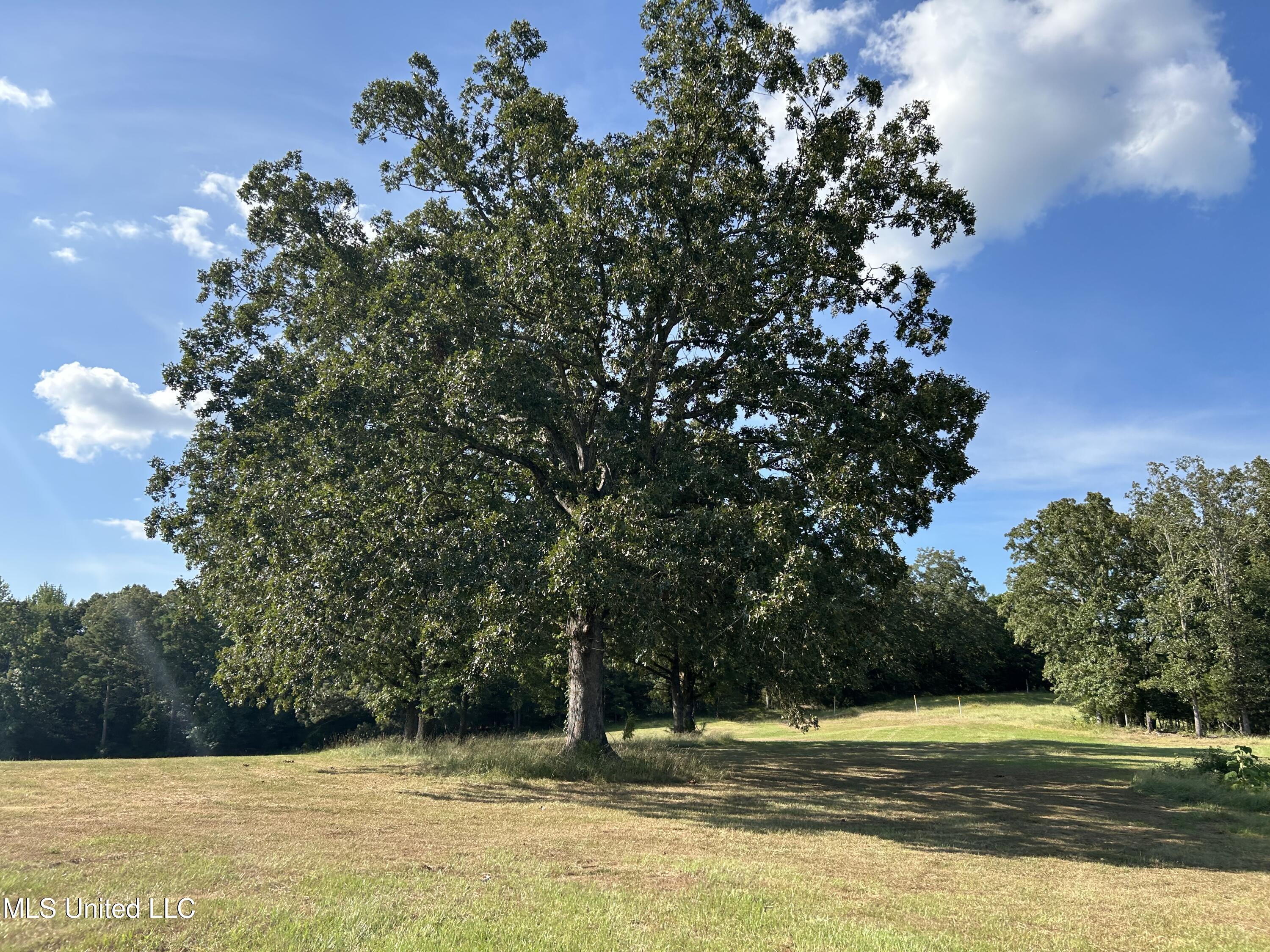 233 County Road Water Valley, MS 38965 - Photo 65 of 77 Photo Jul 28 2025, 5 02 09 PM