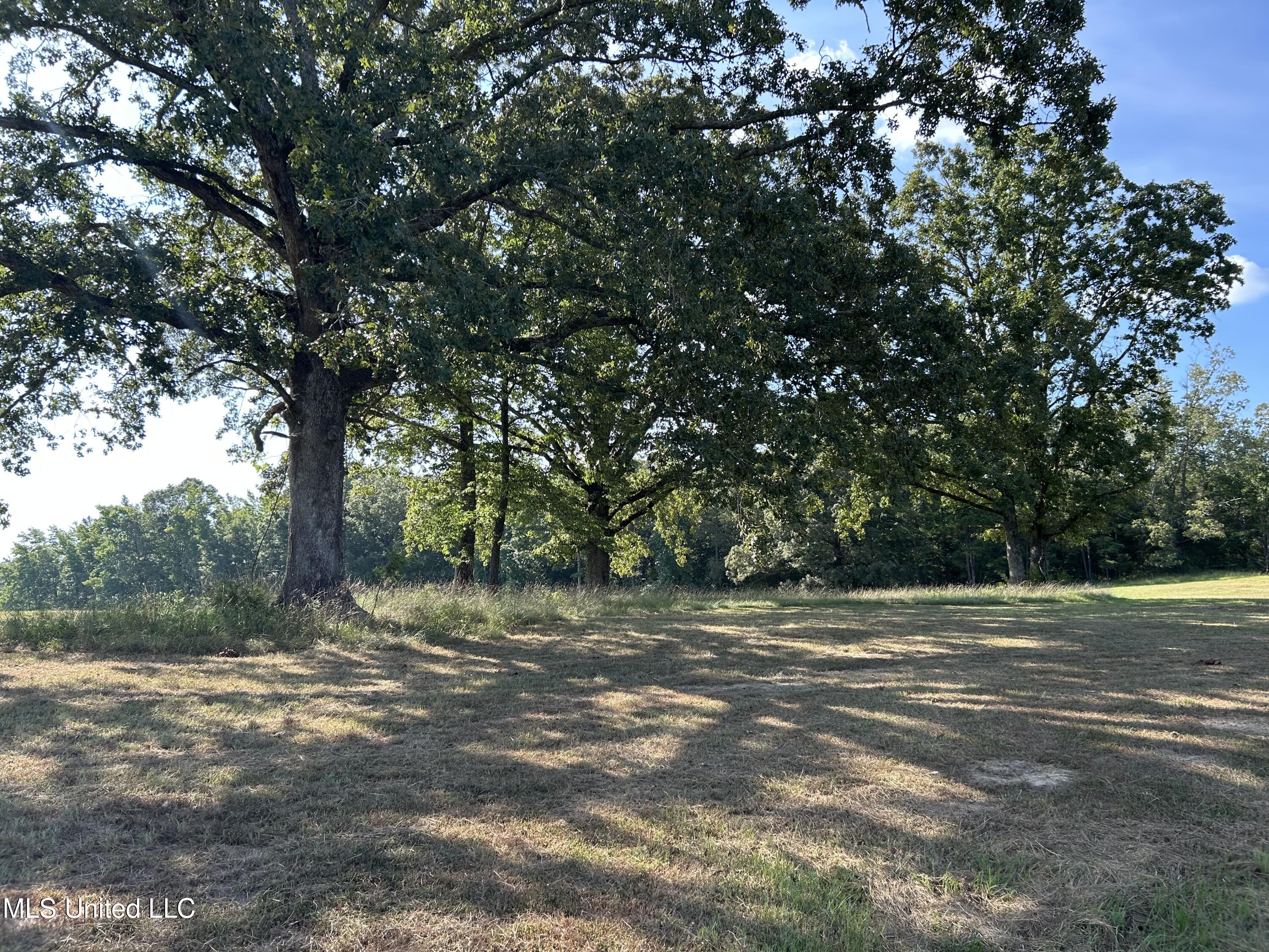 233 County Road Water Valley, MS 38965 - Photo 66 of 77 Photo Jul 28 2025, 5 02 20 PM
