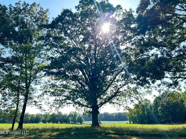 $552,500 | 233 County Road, Water Valley, MS 38965