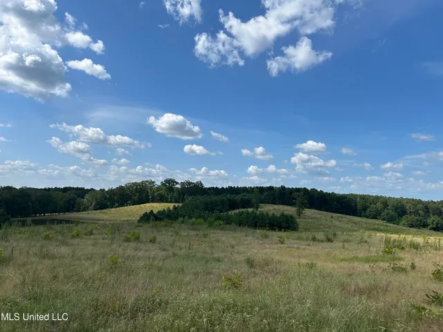 $552,500 | 233 County Road, Water Valley, MS 38965