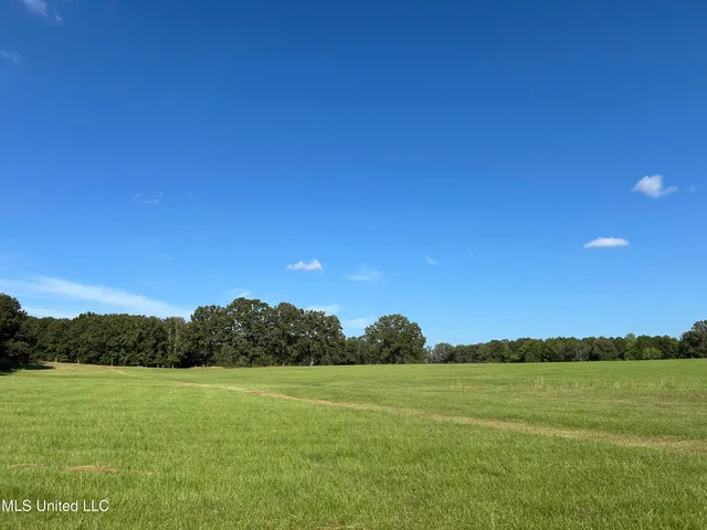 $552,500 | 233 County Road, Water Valley, MS 38965