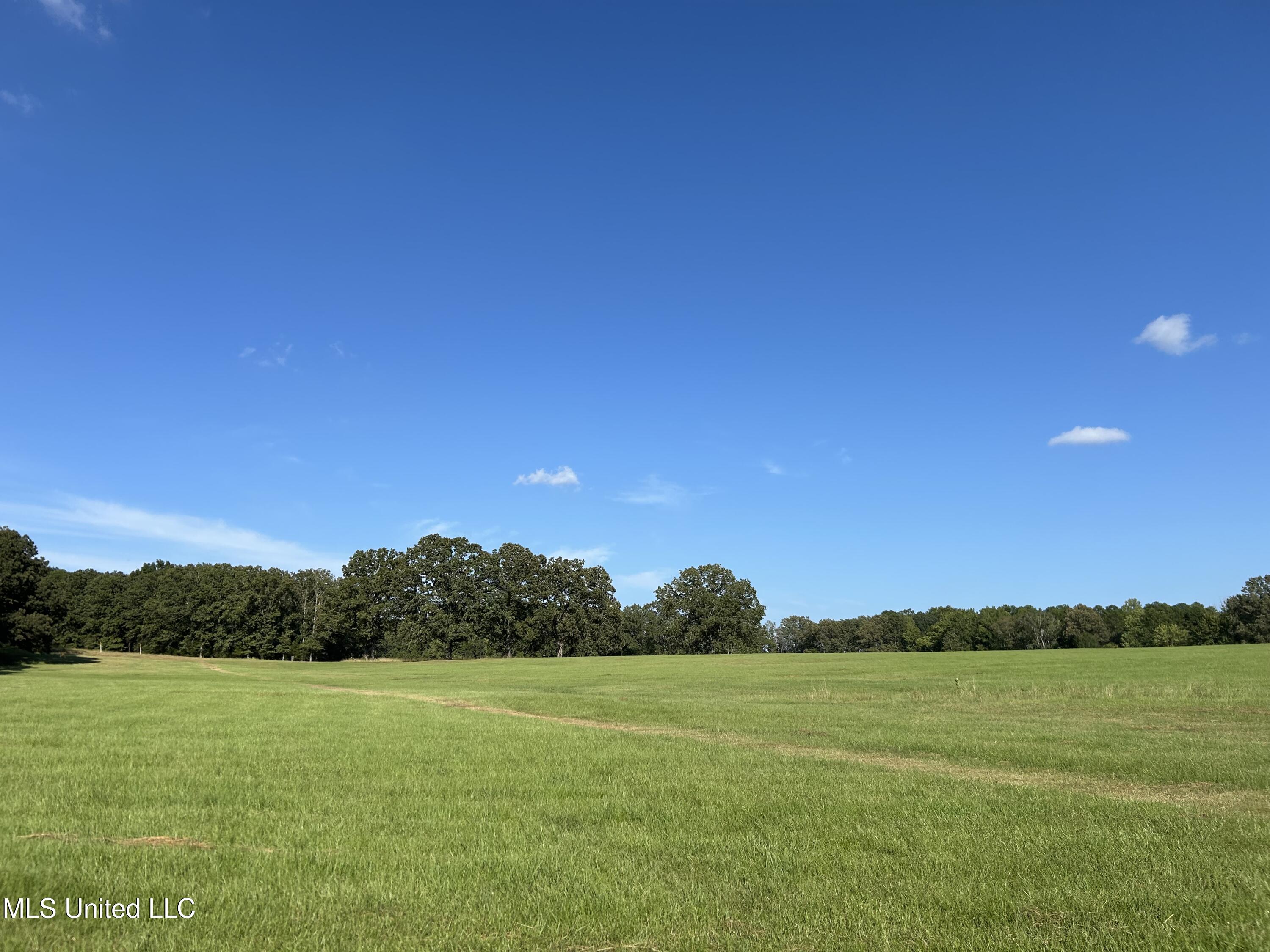 233 County Road Water Valley, MS 38965 - Photo 74 of 77 Photo Jul 28 2025, 5 18 10 PM