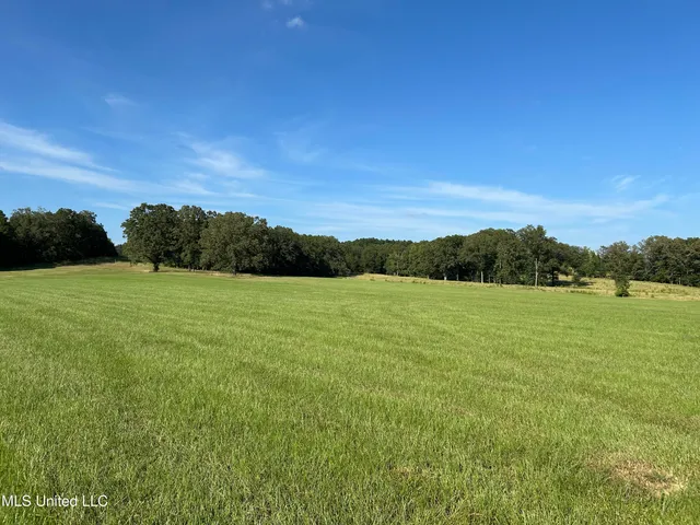 $552,500 | 233 County Road, Water Valley, MS 38965