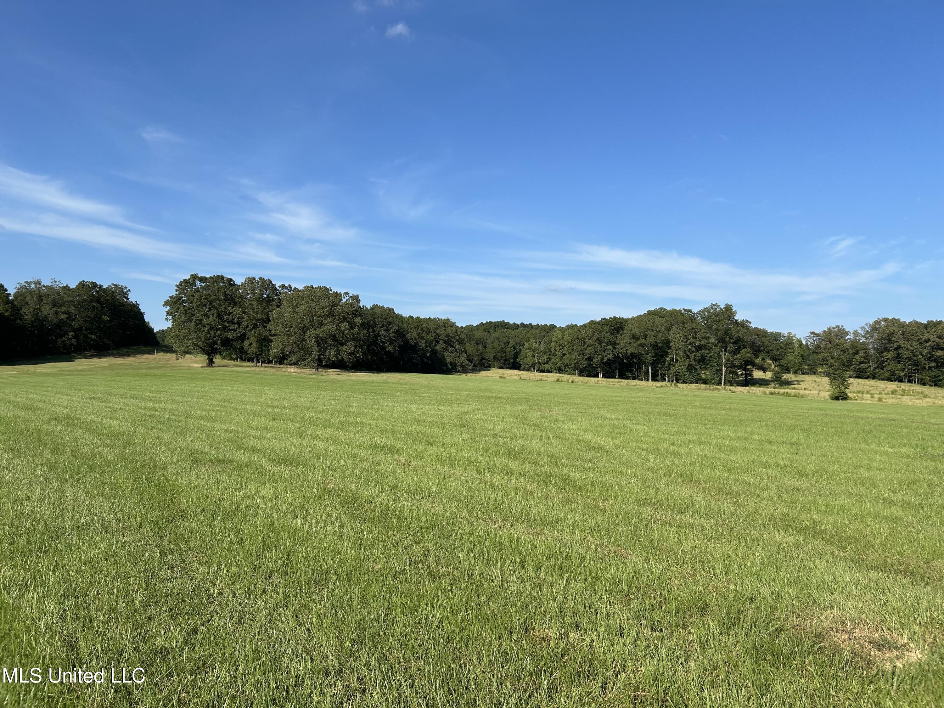 233 County Road Water Valley, MS 38965 - Photo 76 of 77 Photo Jul 28 2025, 5 19 13 PM