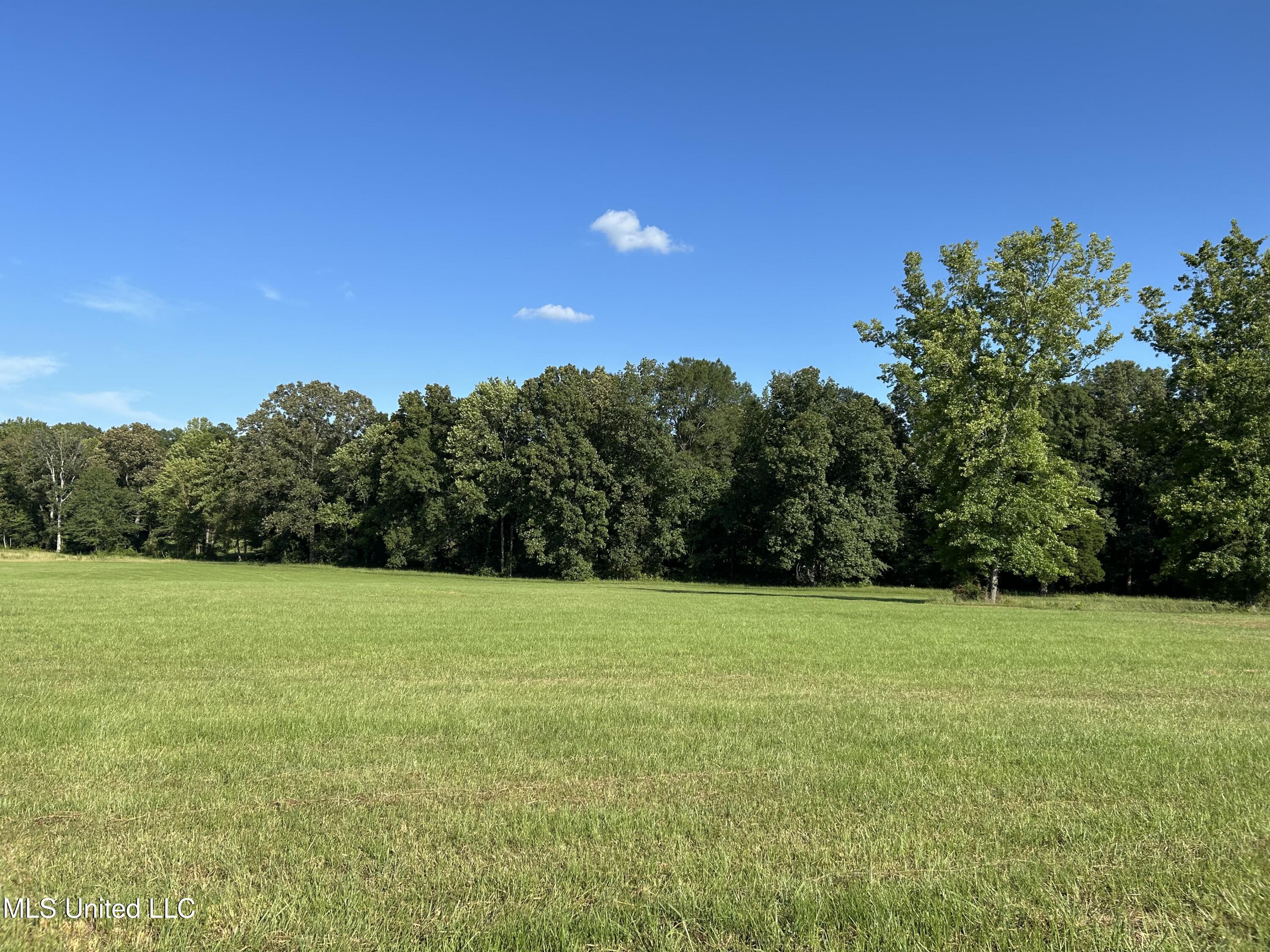233 County Road Water Valley, MS 38965 - Photo 77 of 77 Photo Jul 28 2025, 5 19 19 PM