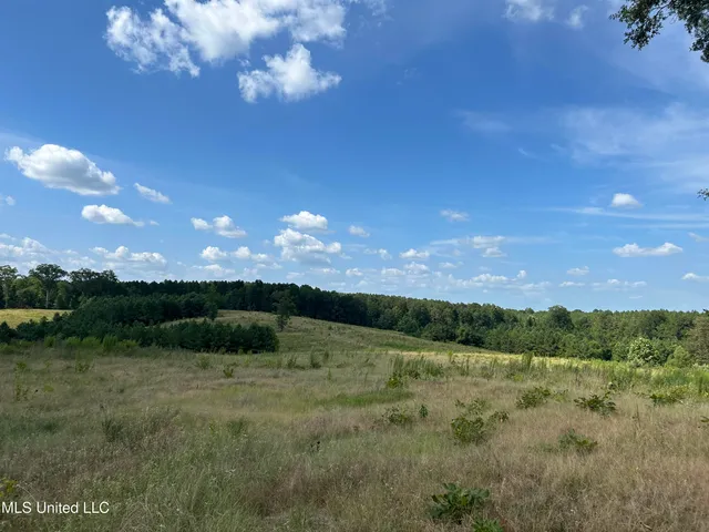 $552,500 | 233 County Road, Water Valley, MS 38965