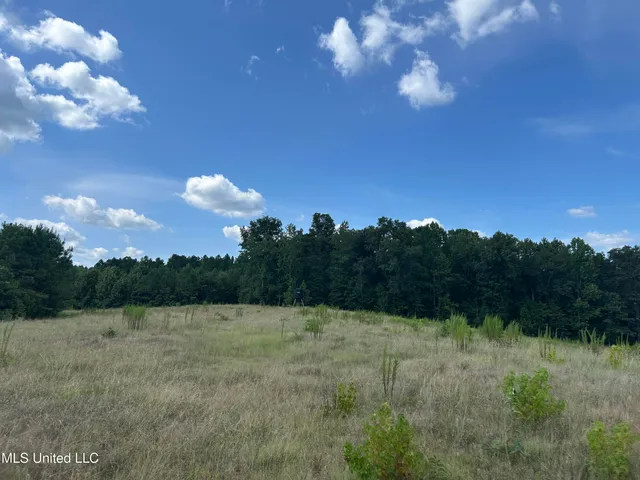 $552,500 | 233 County Road, Water Valley, MS 38965