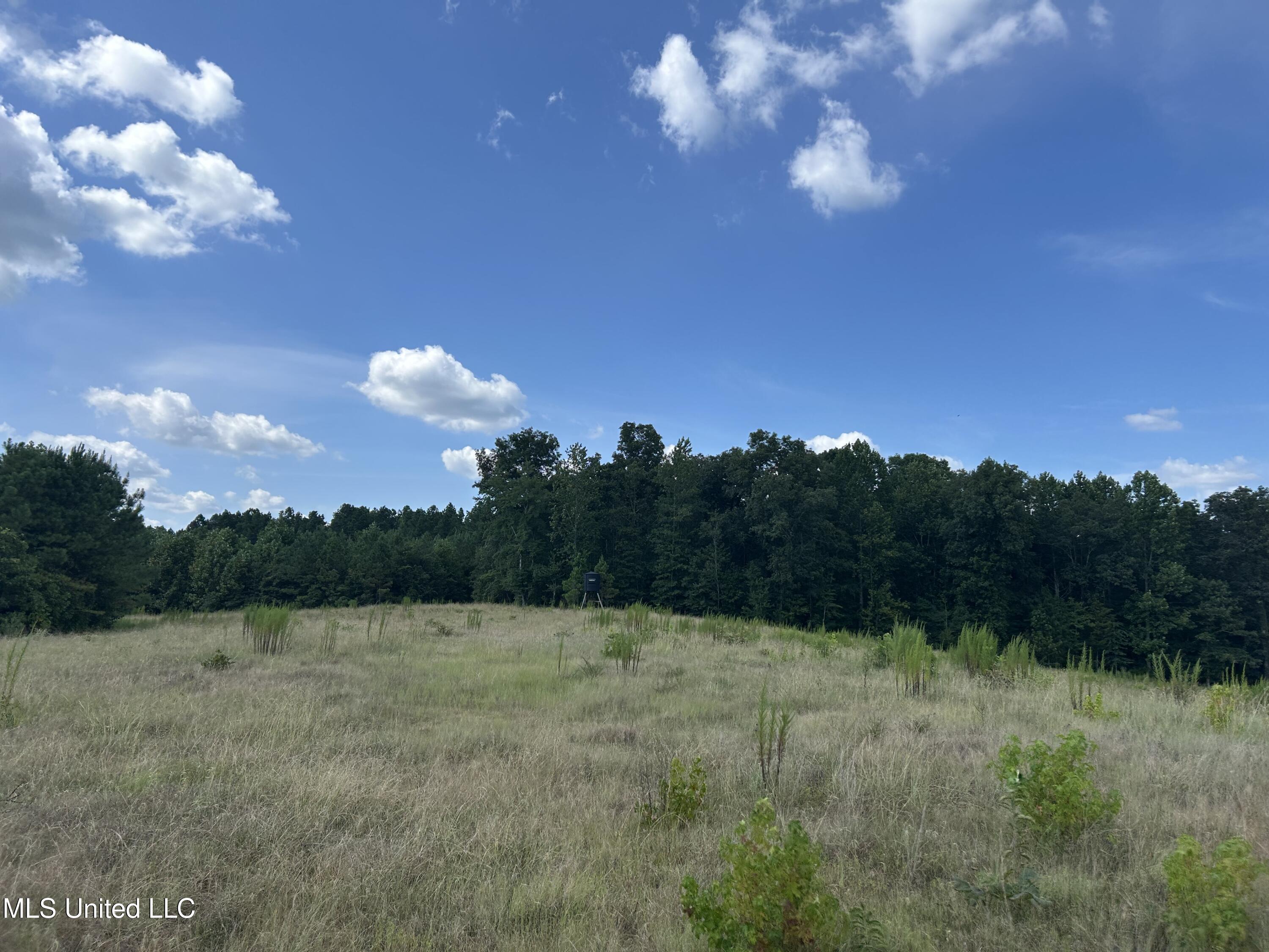 233 County Road Water Valley, MS 38965 - Photo 9 of 77 Photo Jul 28 2025, 4 01 00 PM