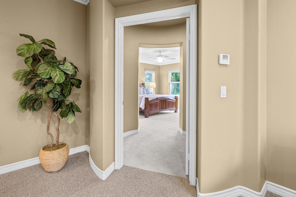 8021 Paseo Arrayan Carlsbad, CA 92009 - Photo 35 of 68 a view of a potted plant in front of a room