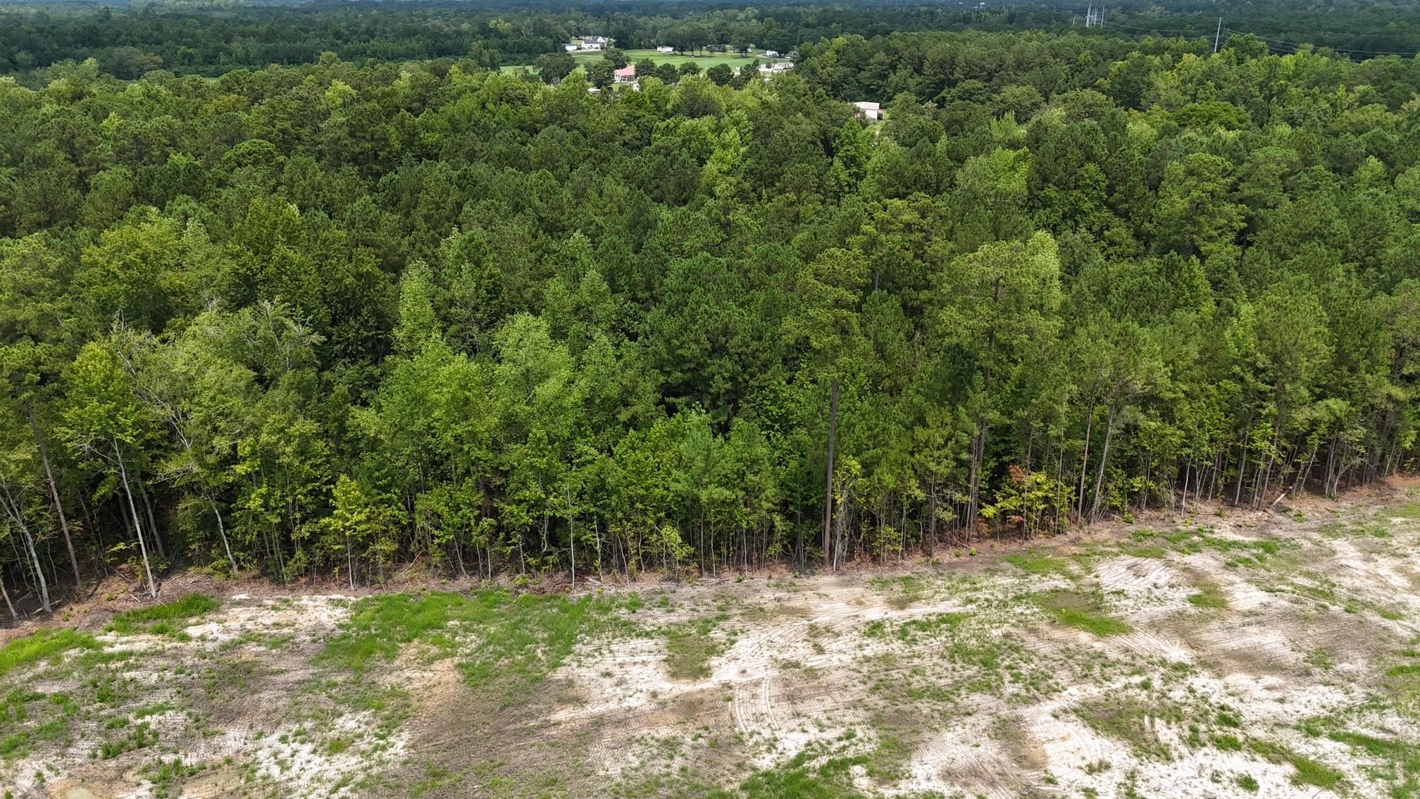 380 Brunson Spring Road Galivants Ferry, SC 29544 - Photo 24 of 48 Gallery Image 24