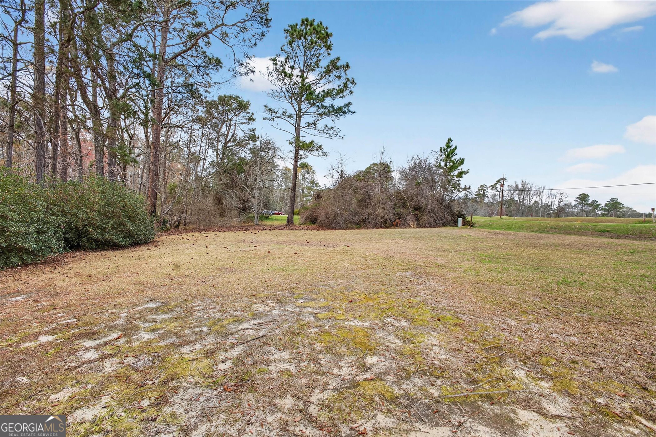 1005 Cedar Street Metter, GA 30439 - Photo 40 of 41