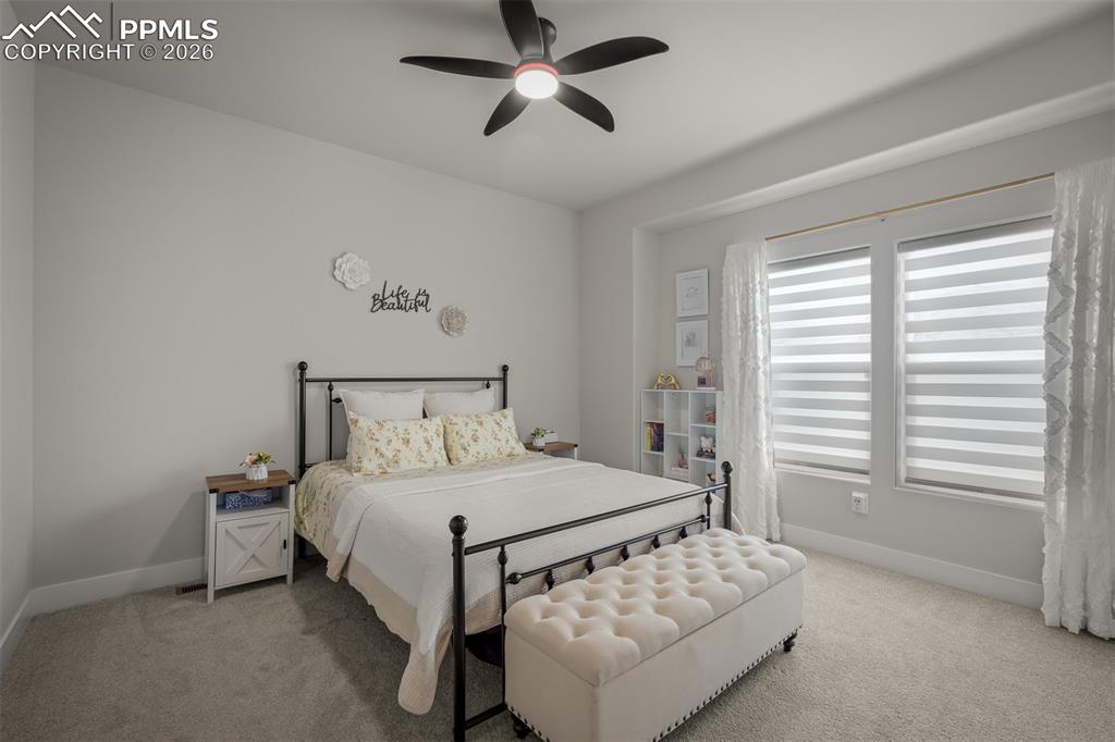 6347 Kinetic Lane Colorado Springs, CO 80924 - Photo 45 of 50