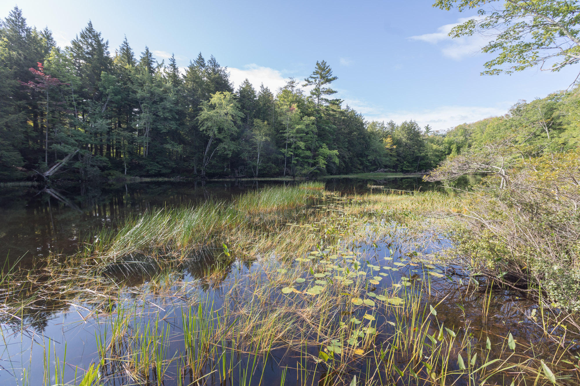 112 Poland Road Lincolnville, ME 04849 - Photo 7 of 30 8O8A9307