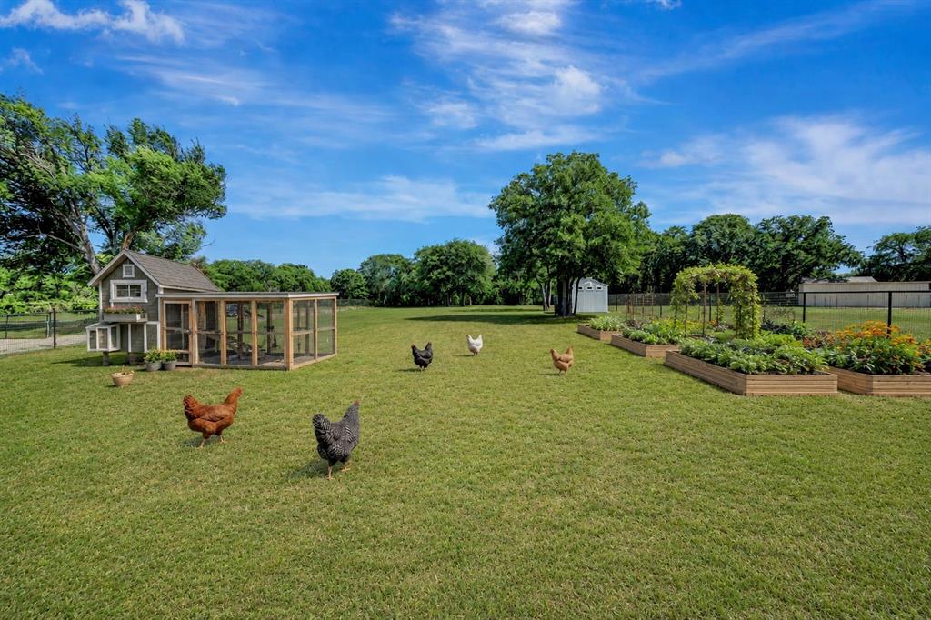 3224 North Cardinal Road Azle, TX 76020 - Photo 32 of 40 ***VIRTUALLY STAGED*** chicken coop, enclosed run, and multiple raised garden beds