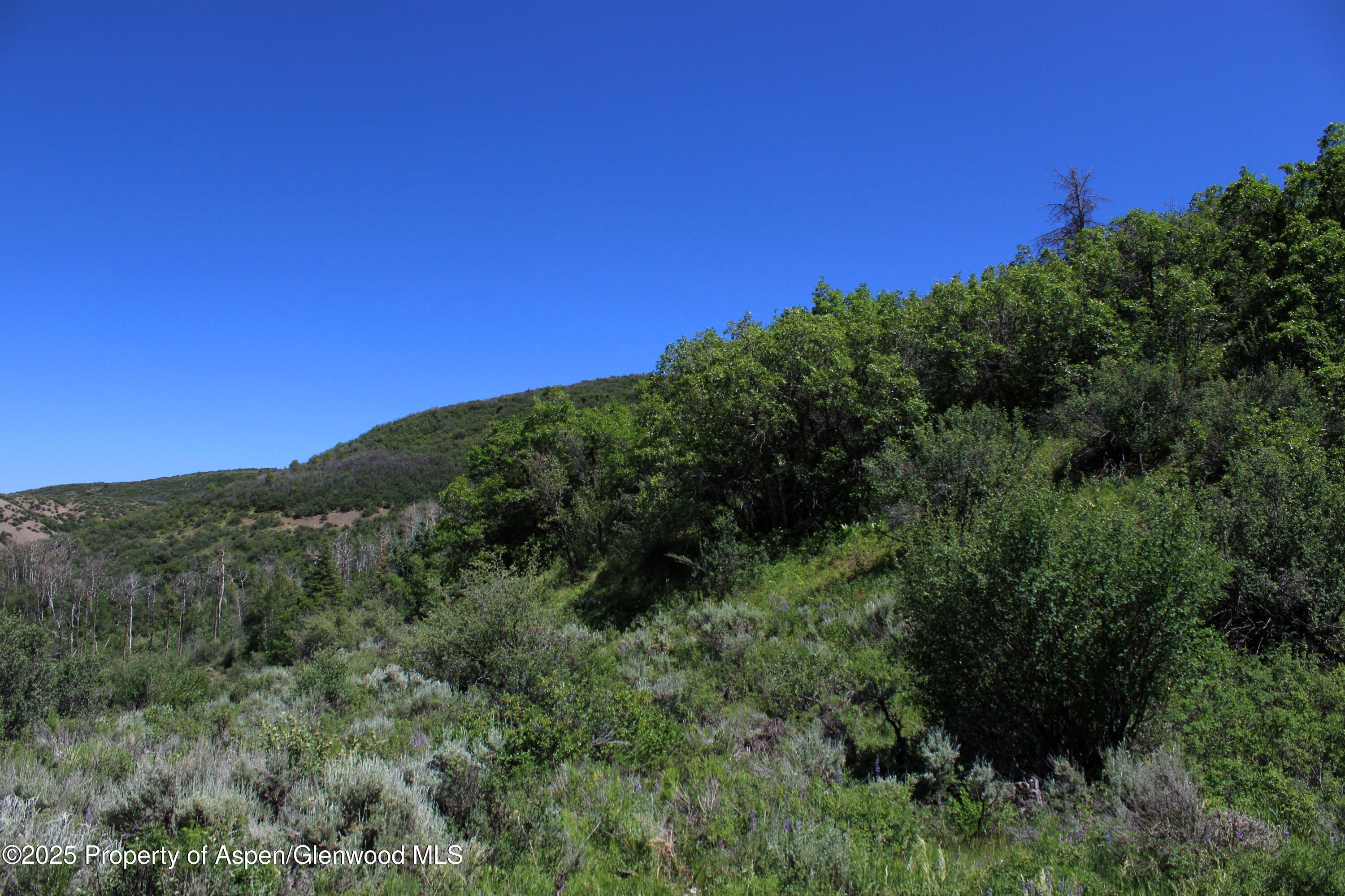 Tbd Shield O Road Snowmass, CO 81654 - Photo 5 of 18 IMG_0696