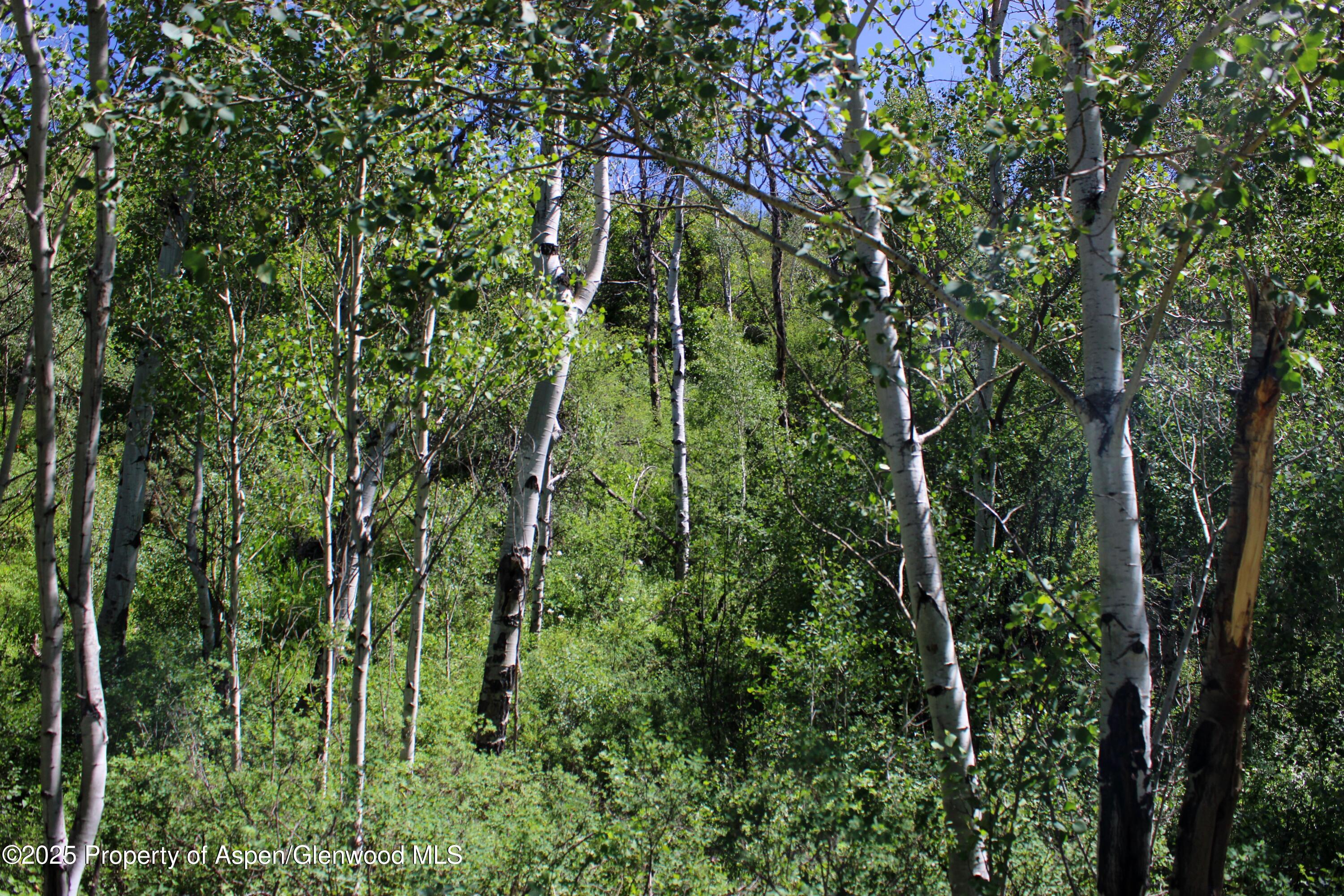 Tbd Shield O Road Snowmass, CO 81654 - Photo 6 of 18 IMG_0803