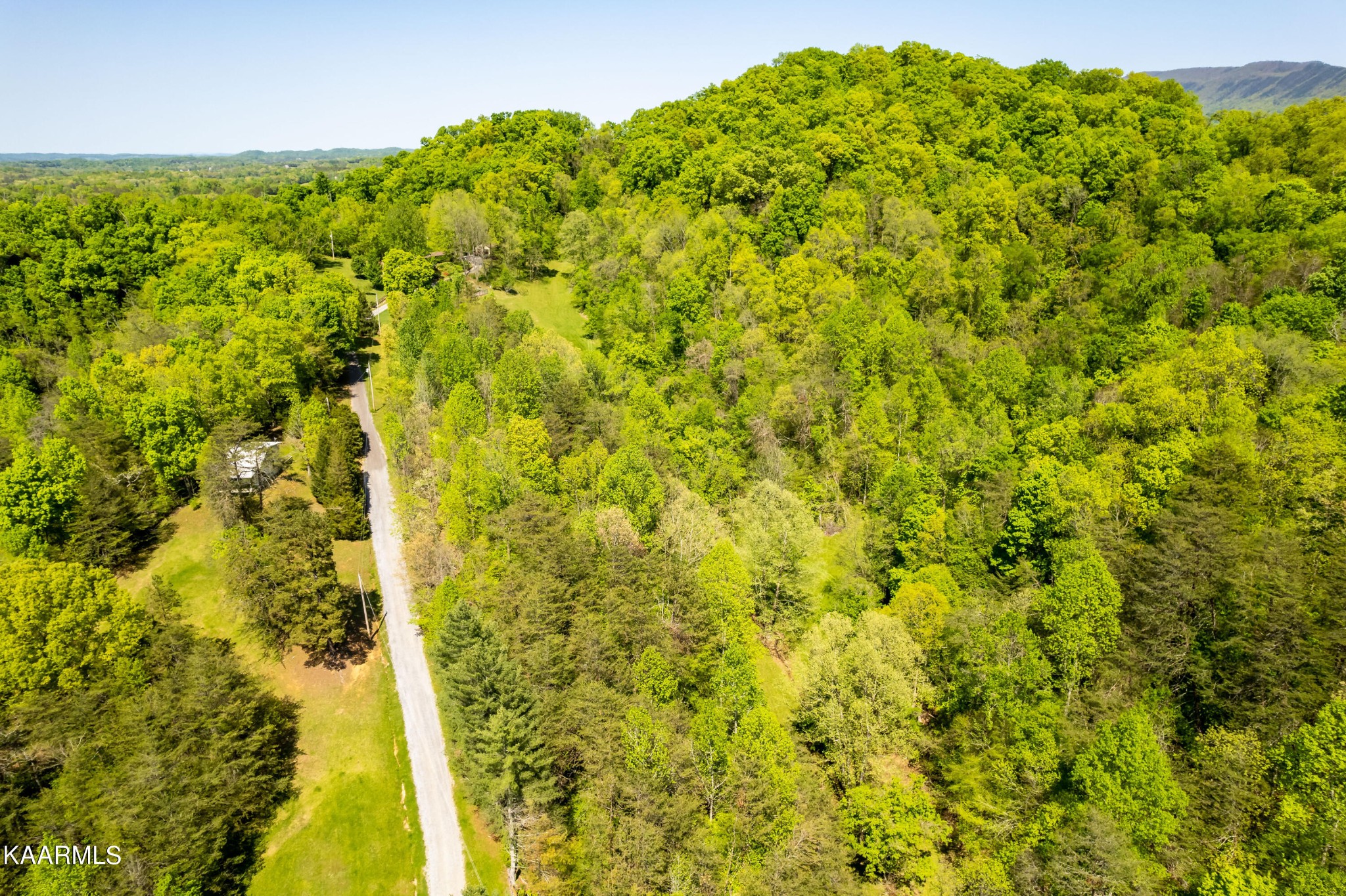 1610 A R Davis Road Seymour, TN 37865 - Photo 50 of 55 a view of a large yard with plants and large trees
