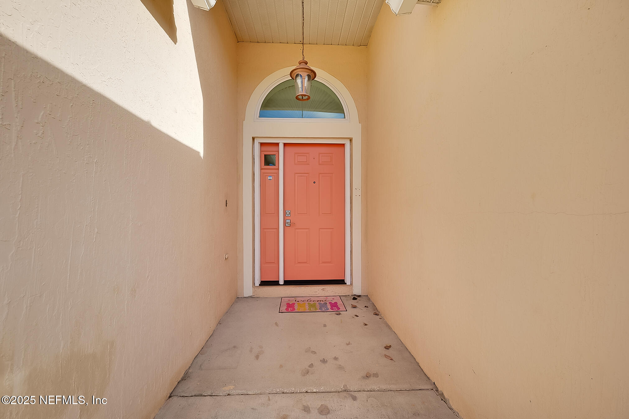 3204 Carlotta Road Middleburg, FL 32068 - Photo 7 of 39 06 Front Door