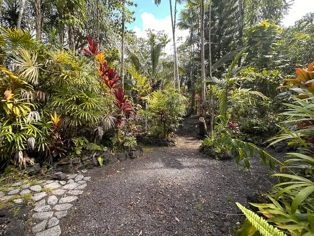 a backyard of a house with lots of green space