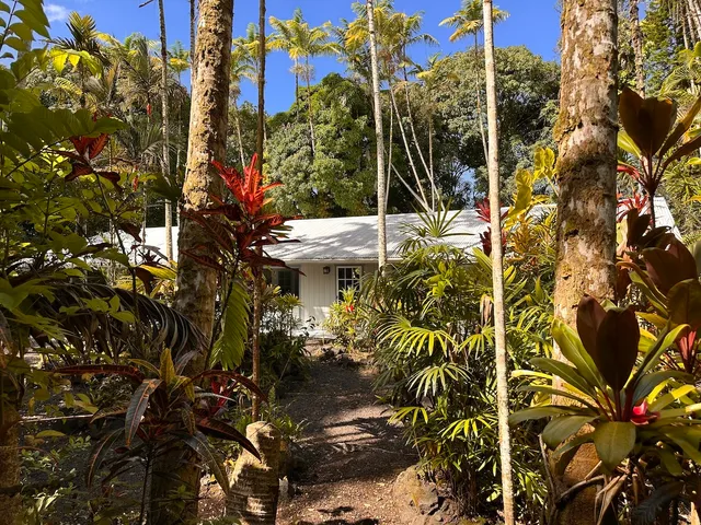 a view of a wooden house with large trees and a park