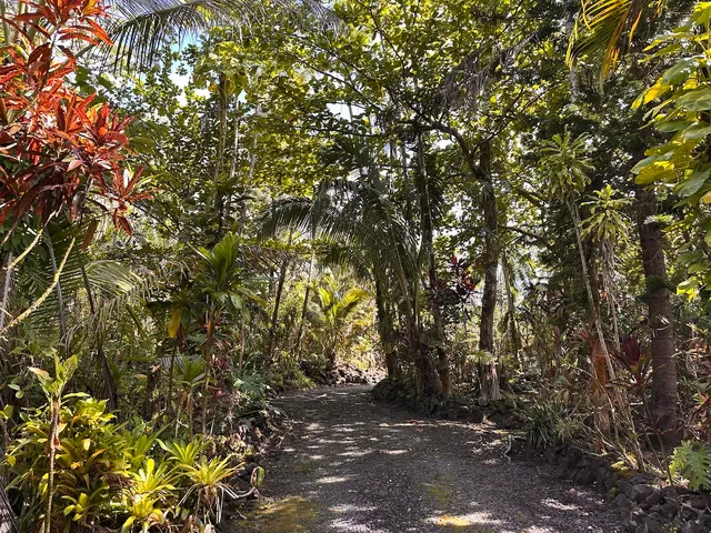 a view of a garage with a bench and trees