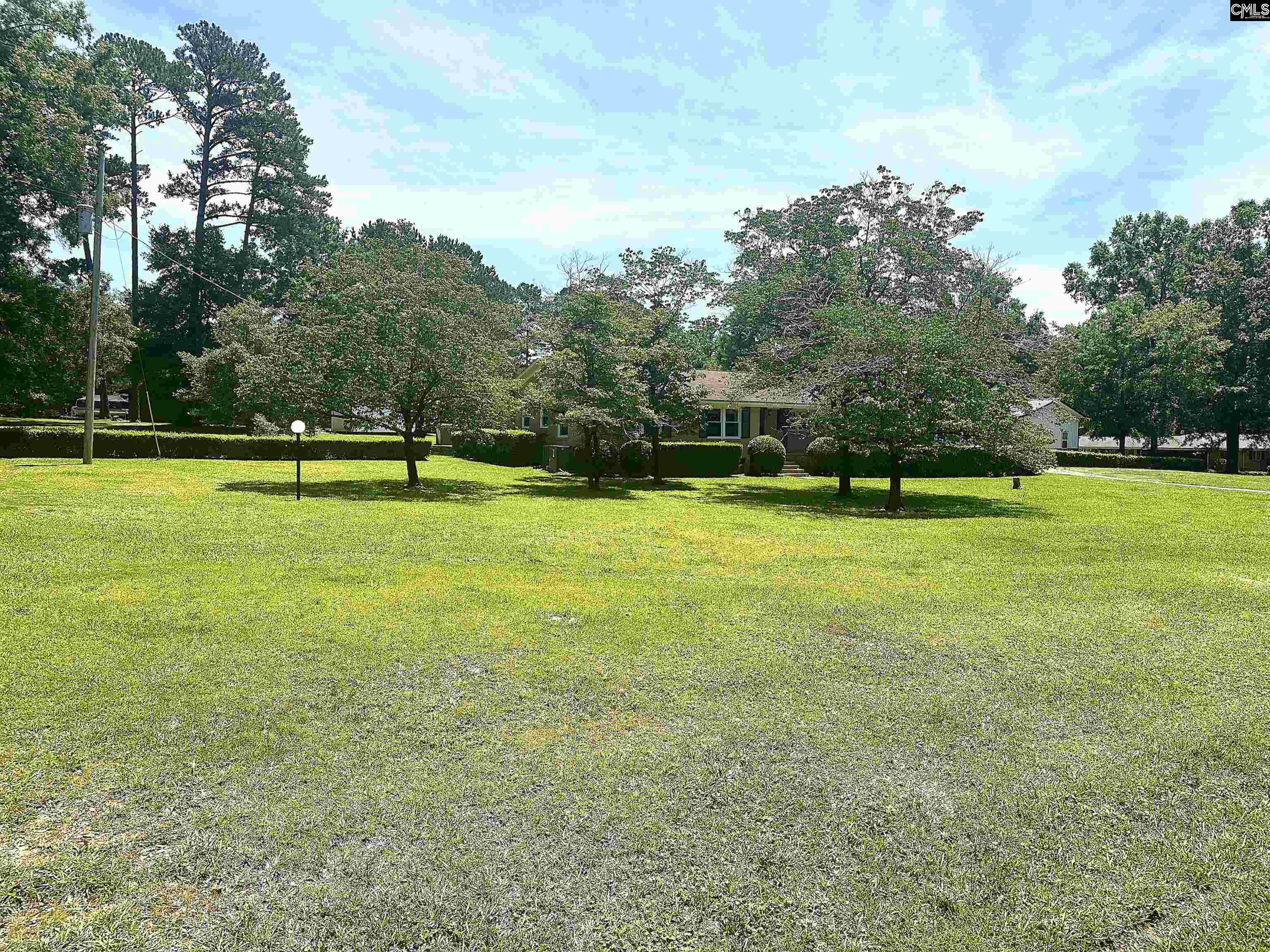 535 Sandbar Road Chapin, SC 29036 - Photo 2 of 23 a view of a large trees with a big yard