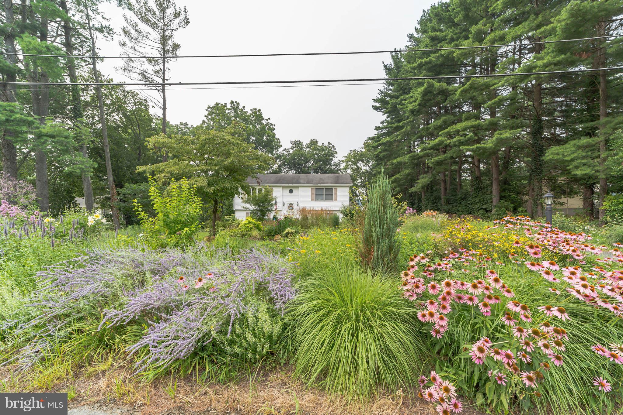 265 Cree Terrace Rising Sun, MD 21911 - Photo 3 of 36