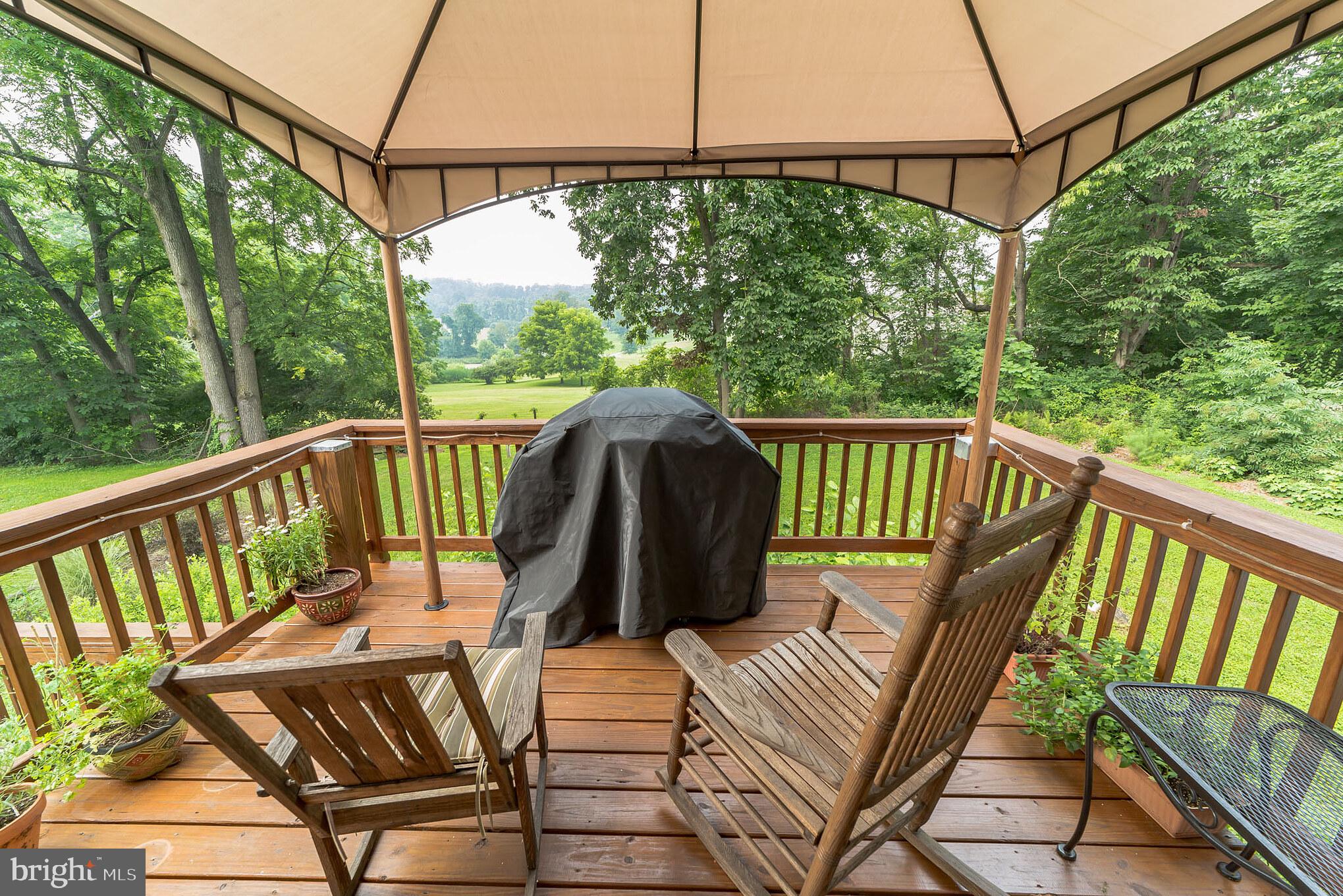 265 Cree Terrace Rising Sun, MD 21911 - Photo 31 of 36