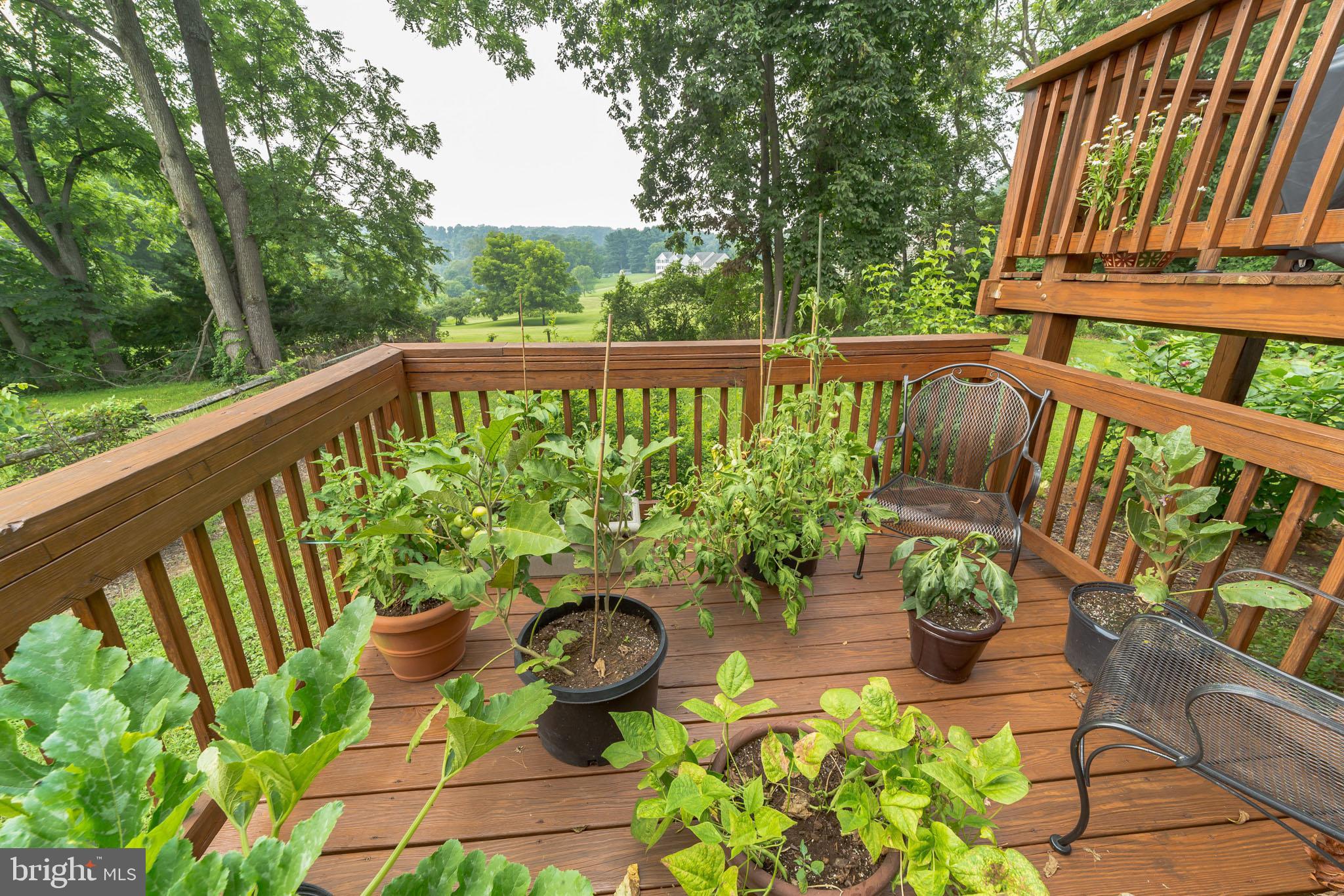 265 Cree Terrace Rising Sun, MD 21911 - Photo 33 of 36