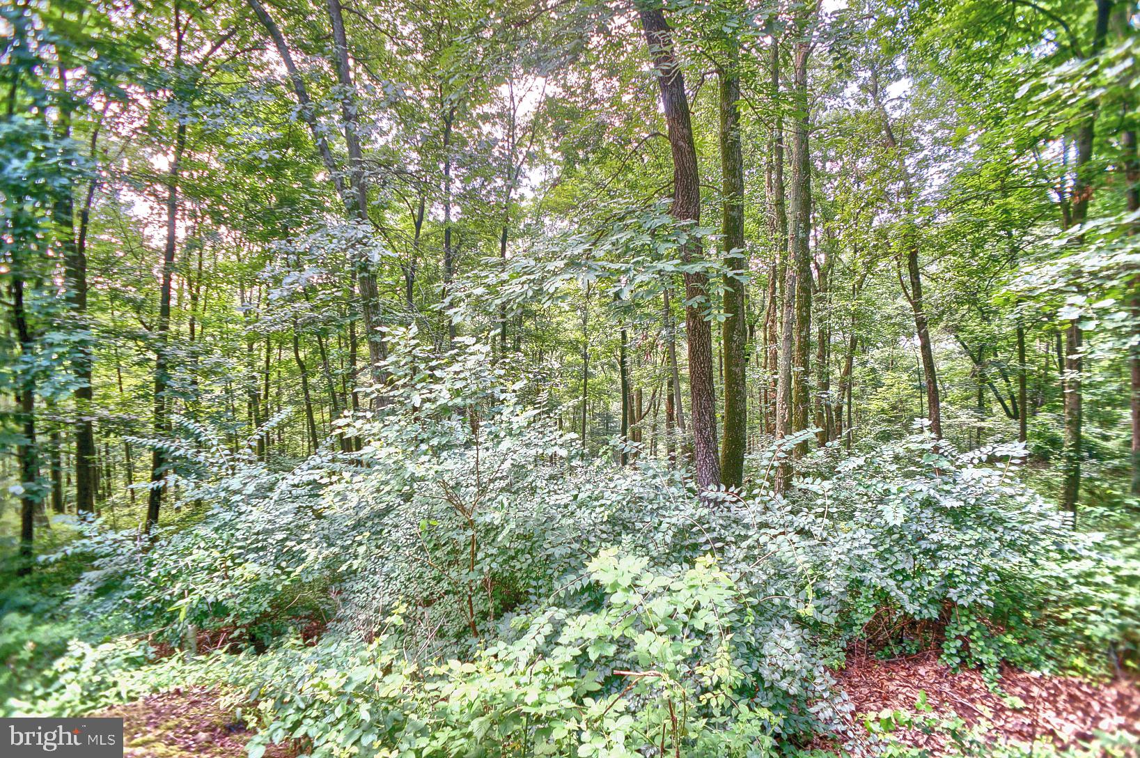 10 Oak Ridge Drive Halifax, PA 17032 - Photo 58 of 69 Gallery Image 58