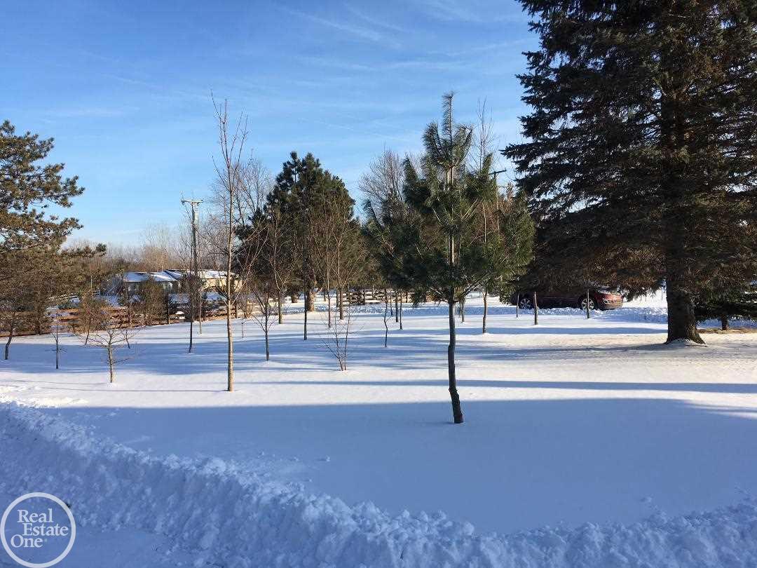 3580 Howland Road Almont, MI 48003 - Photo 5 of 38 Front yard
