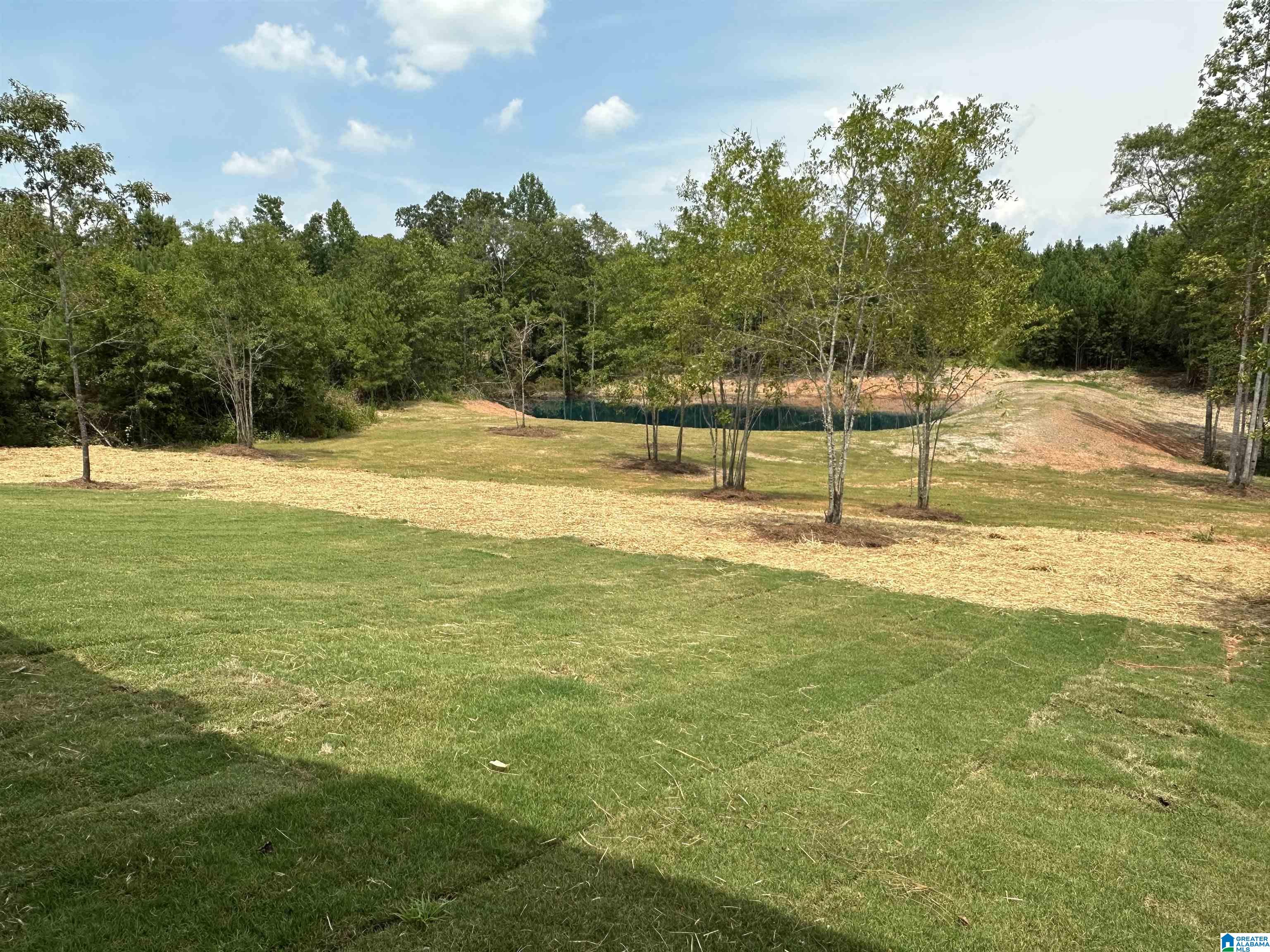 2619 County Road 75 Roanoke, AL 36274 - Photo 5 of 23