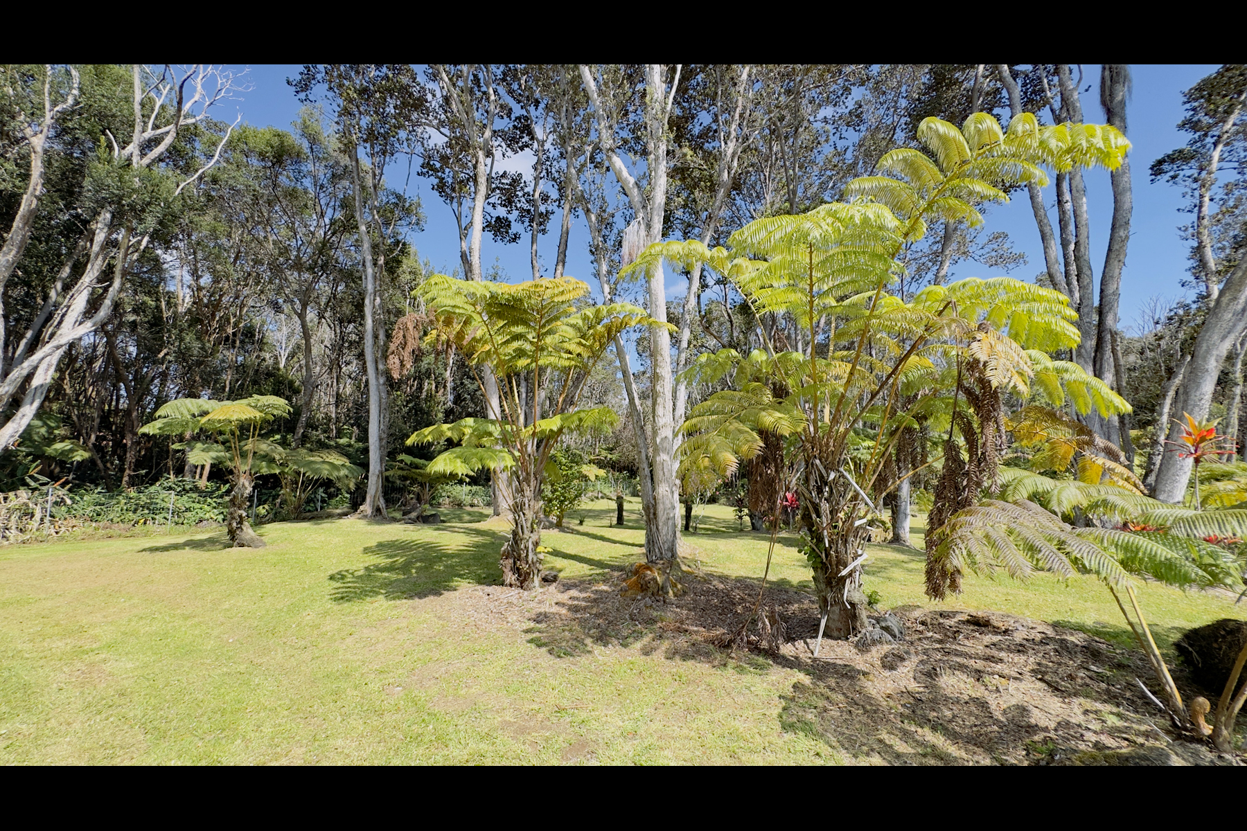 3 Haunani Road Volcano, HI 96785 - Photo 12 of 26 Gallery Image 12