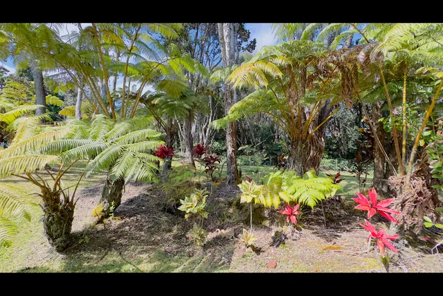 $129,900 | 3 Haunani Road, Volcano, HI 96785