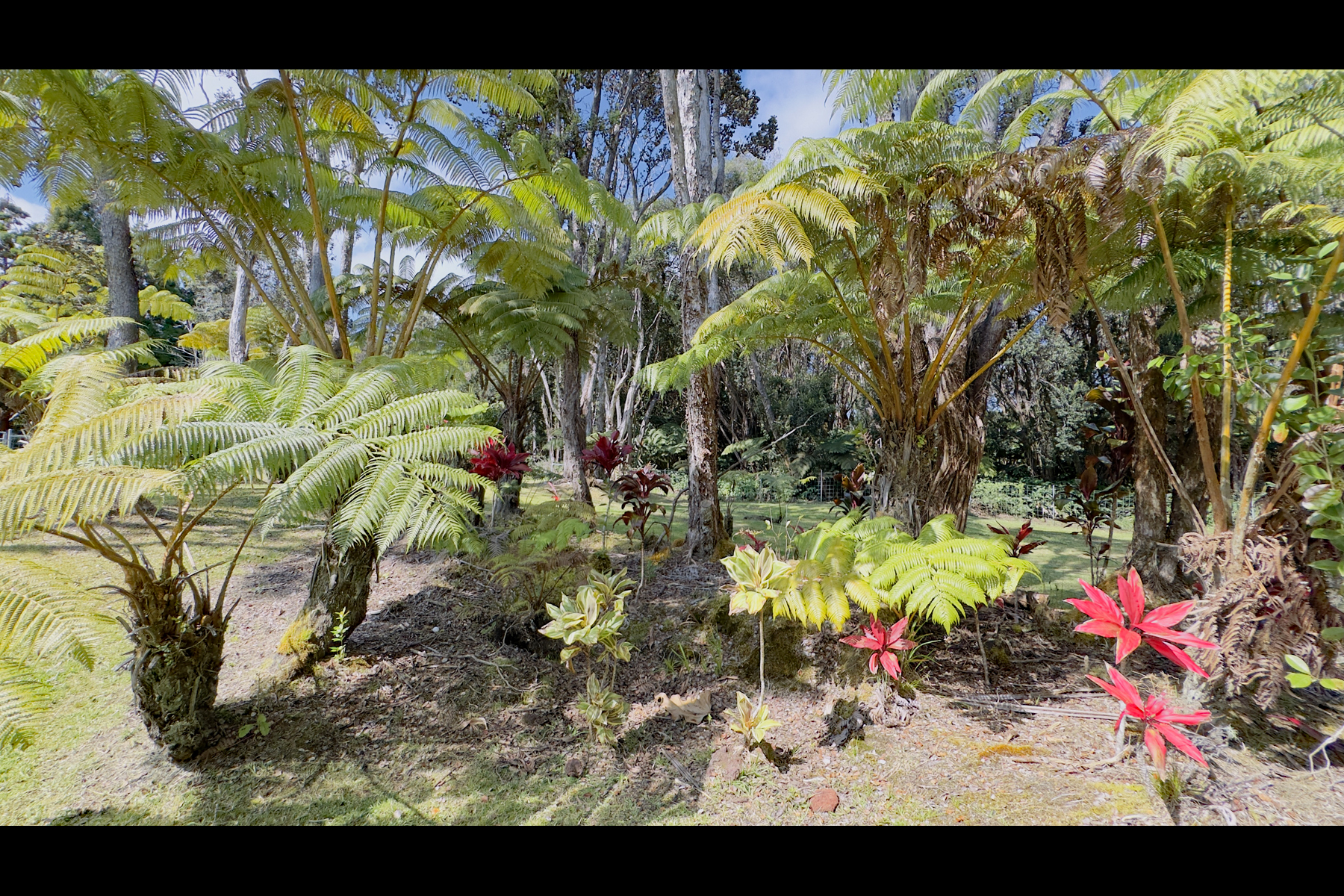 3 Haunani Road Volcano, HI 96785 - Photo 15 of 26 Gallery Image 15