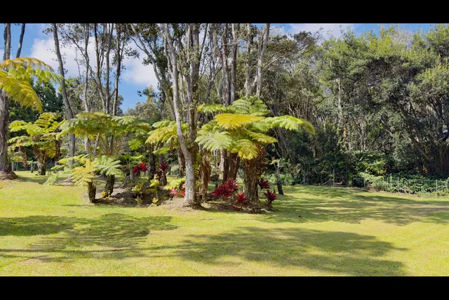 $129,900 | 3 Haunani Road, Volcano, HI 96785