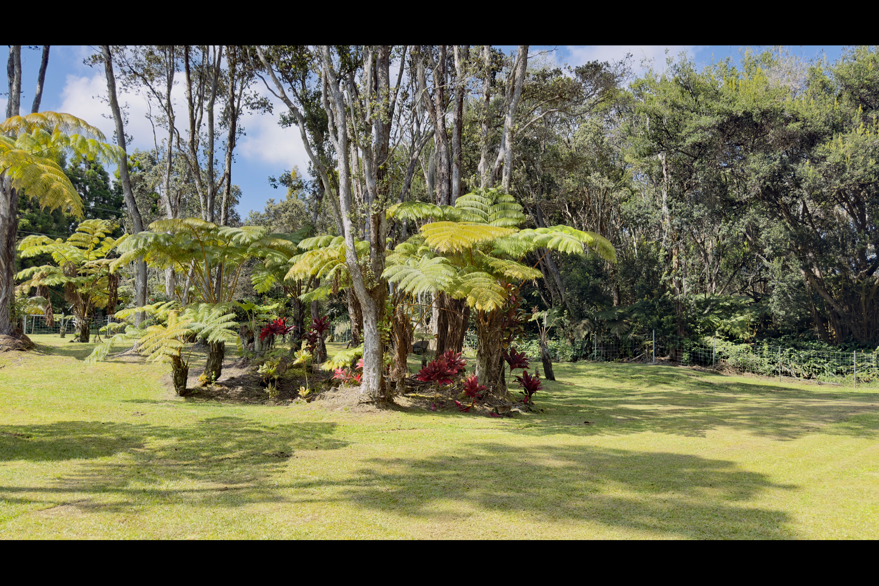 3 Haunani Road Volcano, HI 96785 - Photo 16 of 26 Gallery Image 16