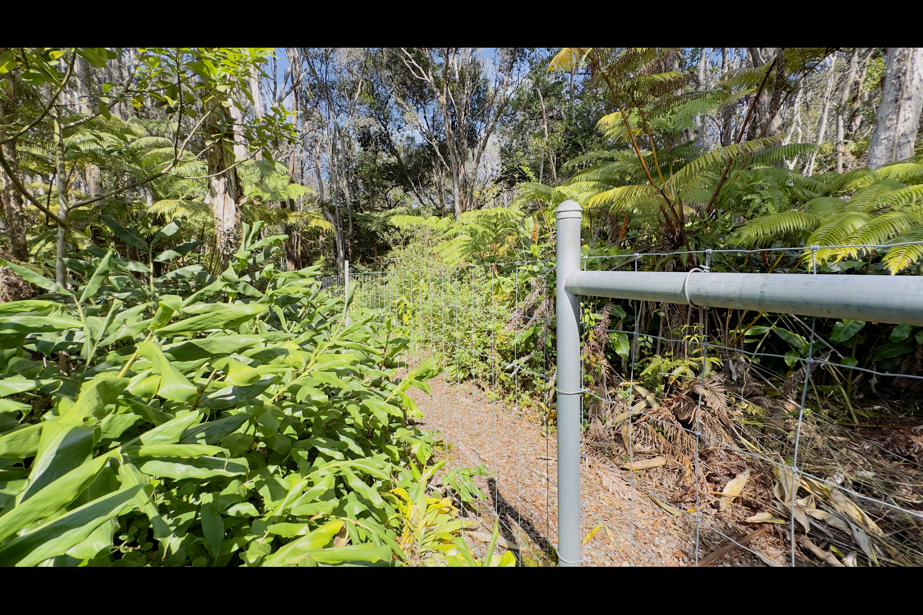 3 Haunani Road Volcano, HI 96785 - Photo 17 of 26 Gallery Image 17