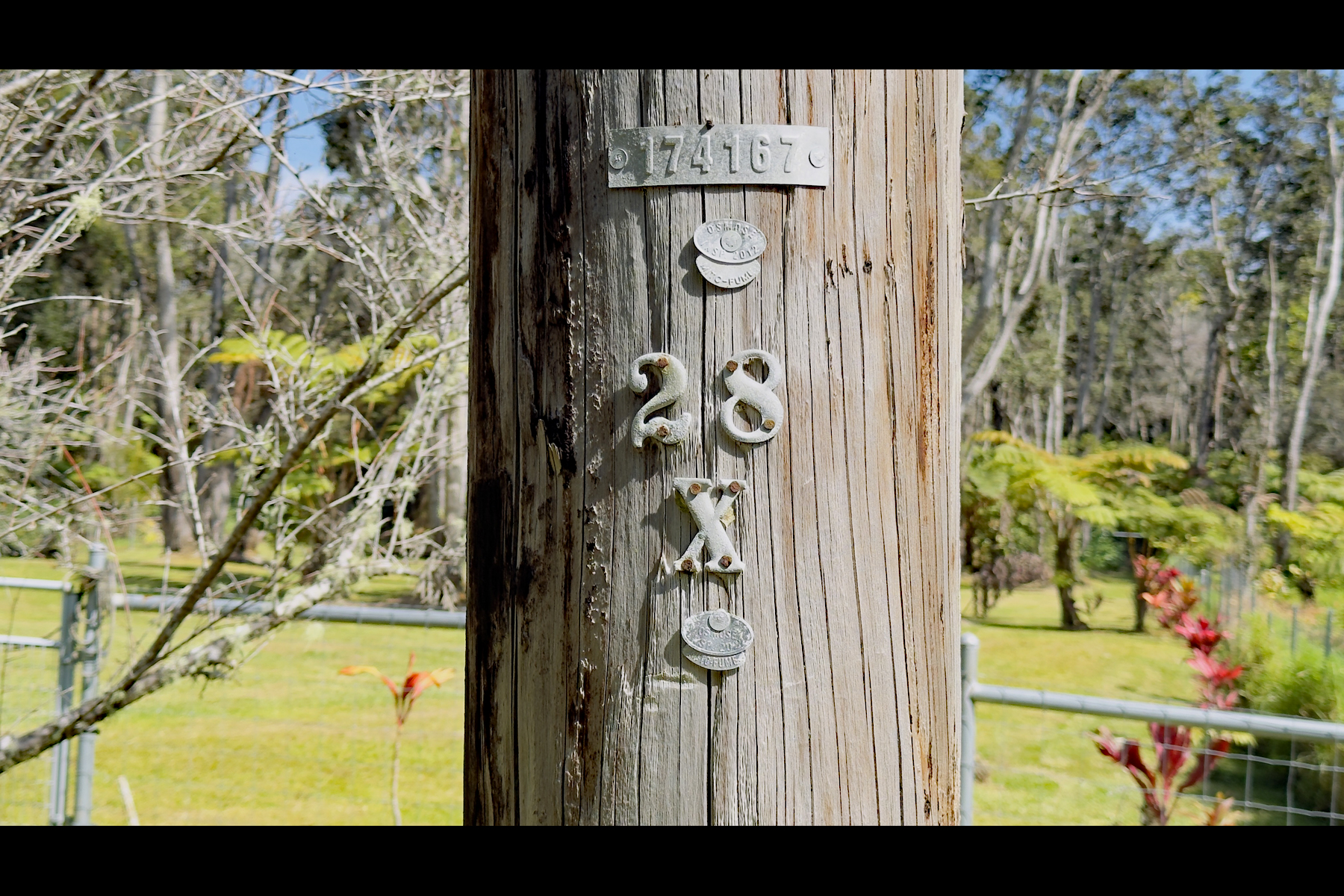 3 Haunani Road Volcano, HI 96785 - Photo 25 of 26 Gallery Image 25