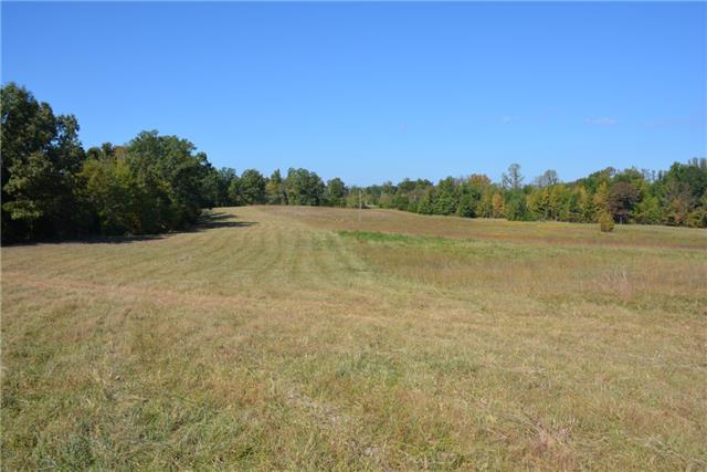 0 Wills Road Dickson, TN 37055 - Photo 1 of 9