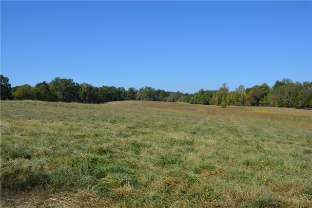 0 Wills Road Dickson, TN 37055 - Photo 8 of 9 View from the barn.