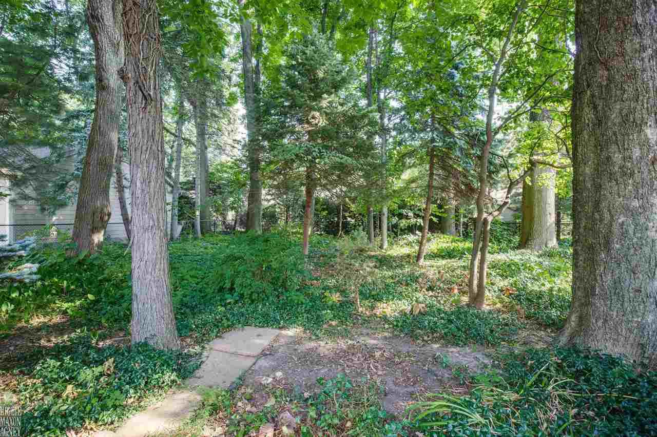 316 Lothrop Road Grosse Pointe, MI 48236 - Photo 22 of 26 31299898-21.JPG
