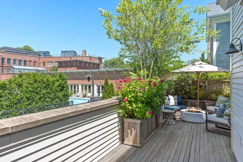 a view of a flower in a garden