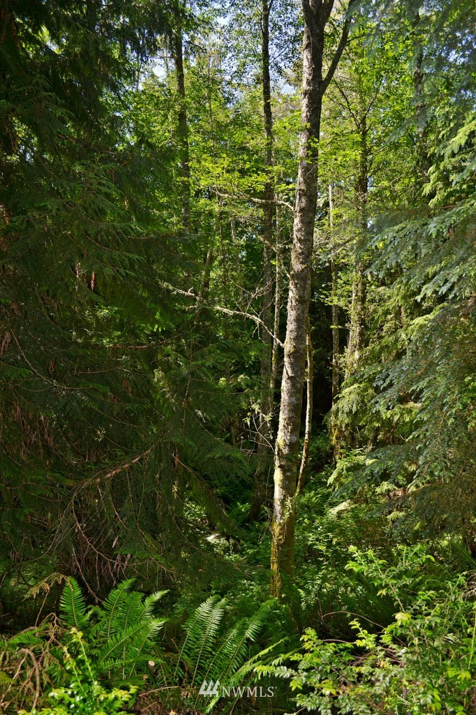 2469 Goss Ridge Road Freeland, WA 98249 - Photo 21 of 25 a view of a garden