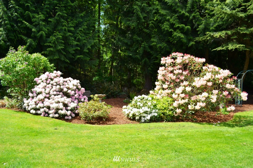 2469 Goss Ridge Road Freeland, WA 98249 - Photo 24 of 25 a view of a tree with a yard