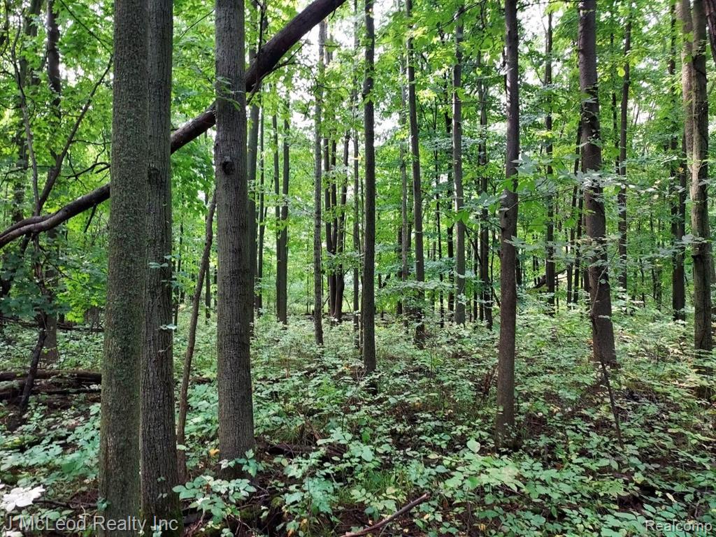 Vl Vassar Road Millington, MI 48746 - Photo 2 of 26