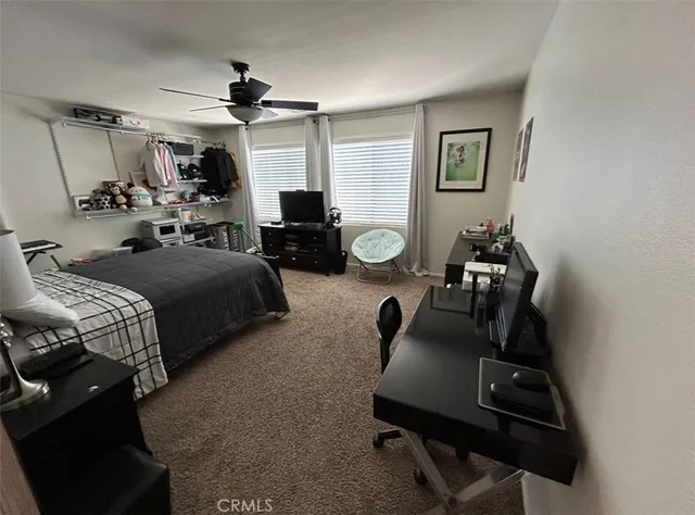 a view of backyard with wheel chair potted plants and palm tree