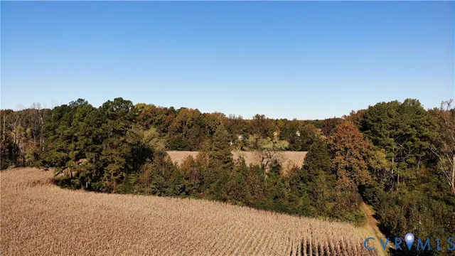 a view of backyard with green space