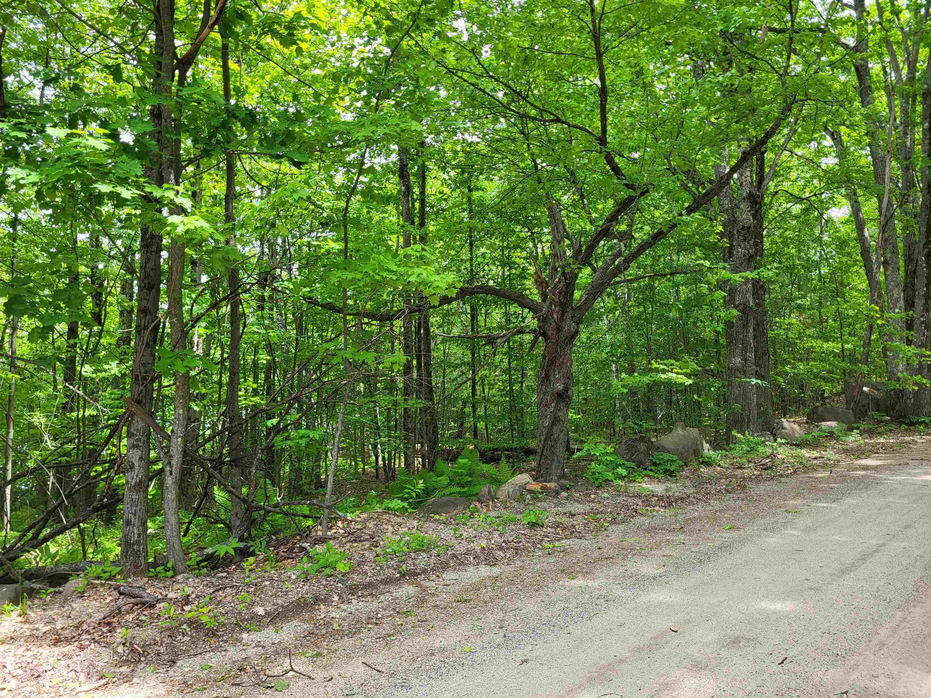 136 Martin Road Weare, NH 03281 - Photo 6 of 9